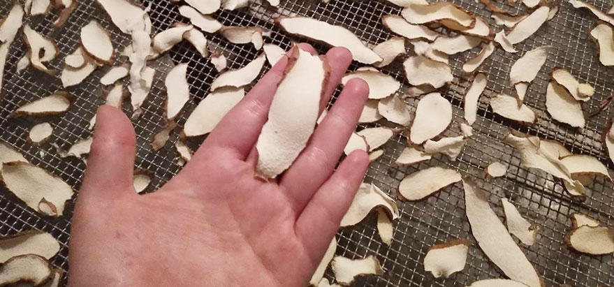 山藥烘干機設備